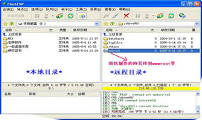 一站式互联网服务解决方案 从域名注册到数据中心托管